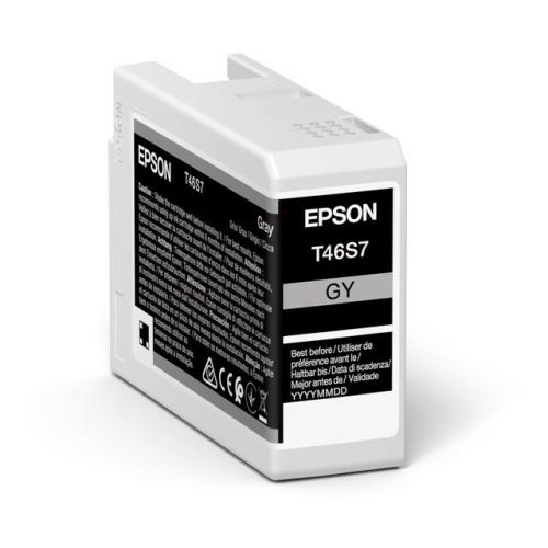 Epson Bläckpatron grå (C13T46S700 / T46S7)
